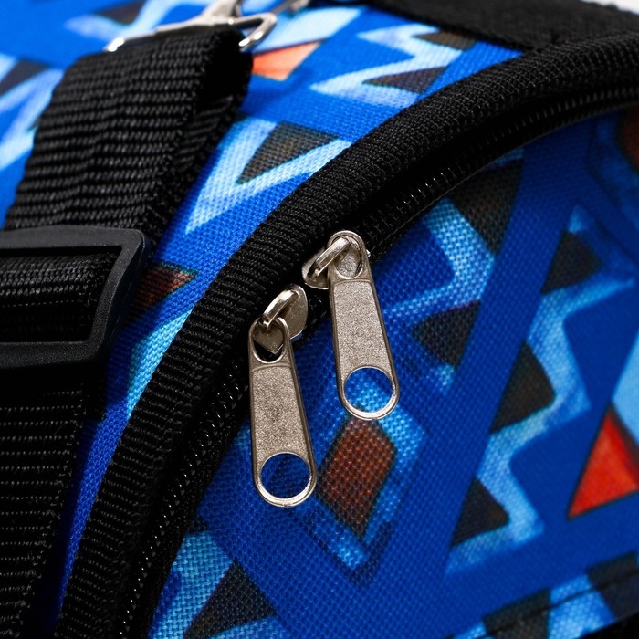 Сумка - переноскара для животных, каркасная с карманами, 40 х 25 х 26 см, синяя Сумка - переноскара для животных, каркасная с карманами, 40 х 25 х 26 см, синяя