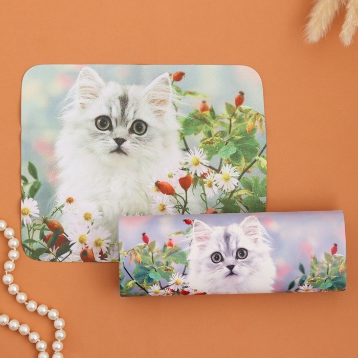 Очечник Очечник "Котёнок", 17х7 см