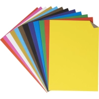 Картон цветной Выбор есть Отличник 24л12цв А4 немелован.пакет