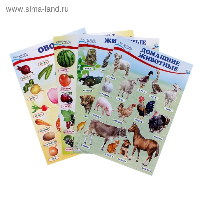 Набор плакатов  Набор плакатов "Домашние, лесные животные,фрукты и ягоды, овощи" с заданием, А4