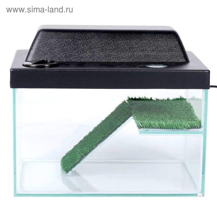 Террариум для черепах 12 литров, с крышкой, полкой и лесенкой, 30 х 20 х 20 см Террариум для черепах 12 литров, с крышкой, полкой и лесенкой, 30 х 20 х 20 см