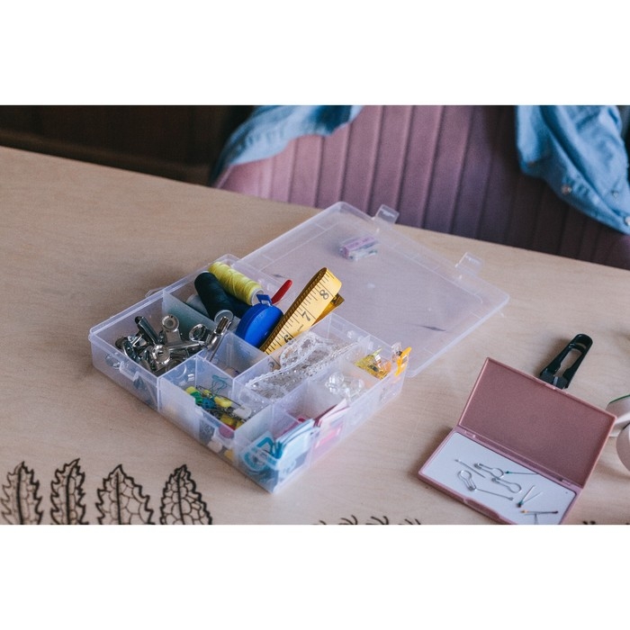 Органайзер для рукоделия, со съёмными ячейками, 14 отделений, 21 × 17 × 4 см, цвет прозрачный Органайзер для рукоделия, со съёмными ячейками, 14 отделений, 21 × 17 × 4 см, цвет прозрачный