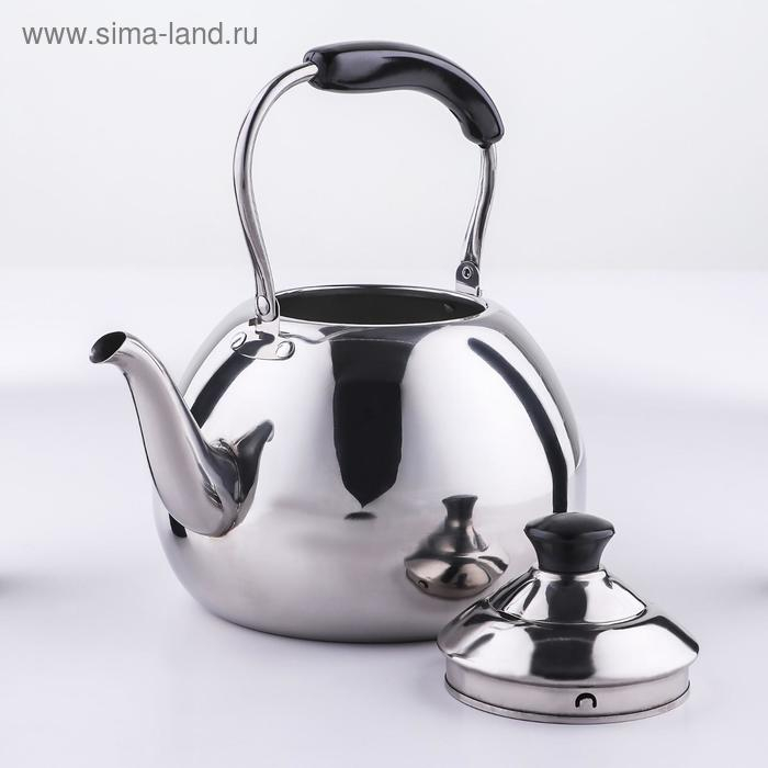 Чайник для плиты из нержавеющей стали Orchid, 3 л, цвет серебряный