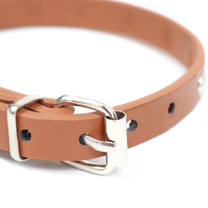 Ошейник клёпаный из искусственной кожи, 30,5 х 1 см, микс цветов Ошейник клёпаный из искусственной кожи, 30,5 х 1 см, микс цветов
