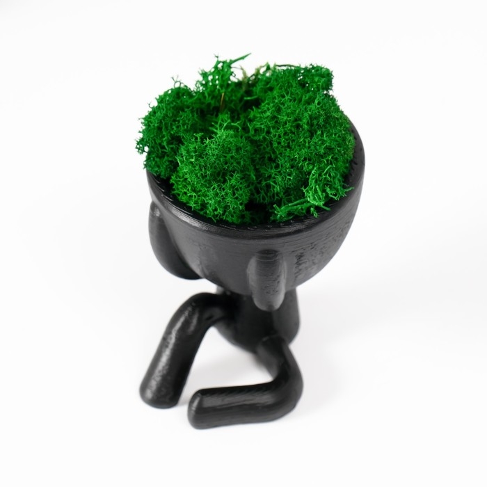 Кашпо бетонное  Кашпо бетонное "Мистер Грин" со мхом черный 5,5х6,5х6,5 см (мох зеленый стабилизированный)