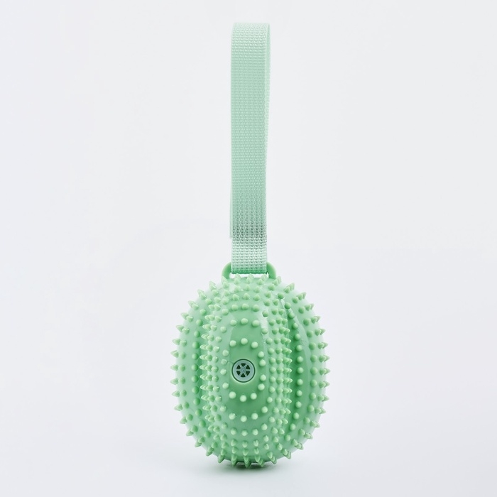 Игрушка массажная пищащая для собак Игрушка массажная пищащая для собак "Фрукт",10,5 см, ТПР, микс цветов