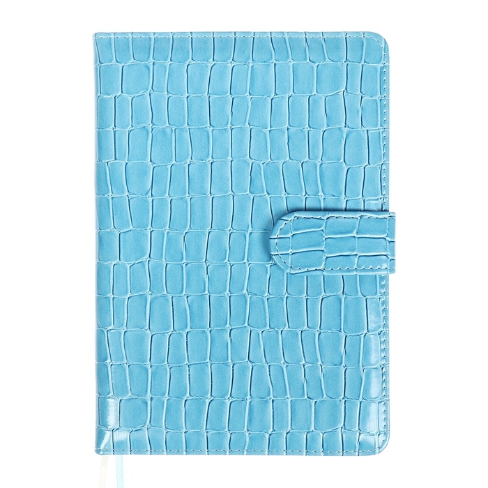 Ежедневник датированный 2025 года A5, 168 листов, deVENTE. Barbara, твердая обложка кожзам с поролоном, перфорацией, ляссе, блок 70, голубой Ежедневник датированный 2025 года A5, 168 листов, deVENTE. Barbara, твердая обложка кожзам с поролоном, перфорацией, ляссе, блок 70, голубой