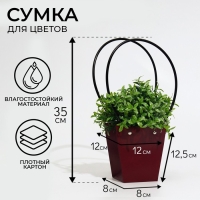 Сумка для цветов бордовая влагостойкая, 12x12-8 x 8-12.5 см