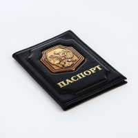 Обложка для паспорта, цвет чёрный