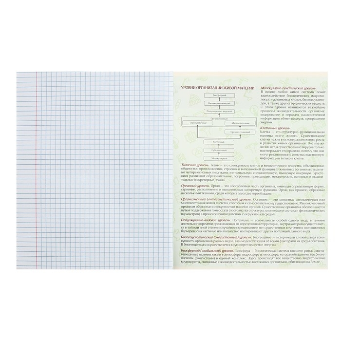 Тетрадь предметная Calligrata TOP Тетрадь предметная Calligrata TOP "Журнал", 48 листов в клетку Биология, со справочным материалом, картонная обложка, глянцевая ламинация, блок офсет