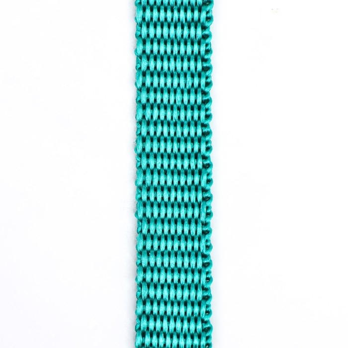 Поводок капроновый , 1,6 м х 1 см, зелёный