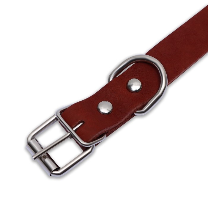 Ошейник кожаный однослойный, 45 х 2 см, ОШ 25-35 см, коричневый Ошейник кожаный однослойный, 45 х 2 см, ОШ 25-35 см, коричневый