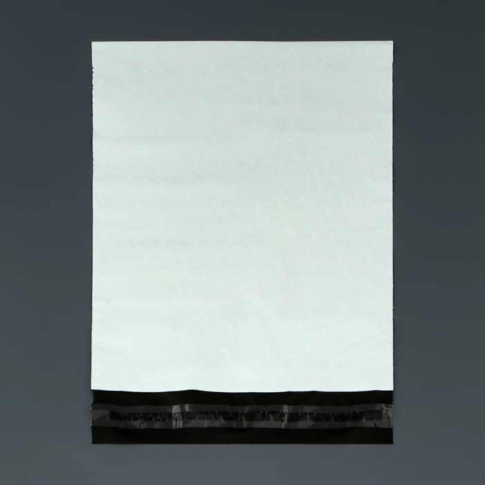 Курьерский пакет с клеевым клапаном 200 х 340 мм, набор 50 шт Курьерский пакет с клеевым клапаном 200 х 340 мм, набор 50 шт