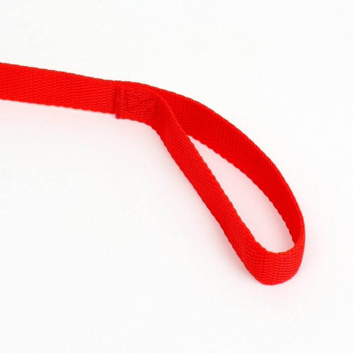 Поводок 5 м х 2 см, красный Поводок 5 м х 2 см, красный