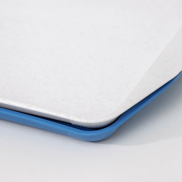 Поднос «Дональд», 30×21 см, цвет МИКС Поднос «Дональд», 30×21 см, цвет МИКС