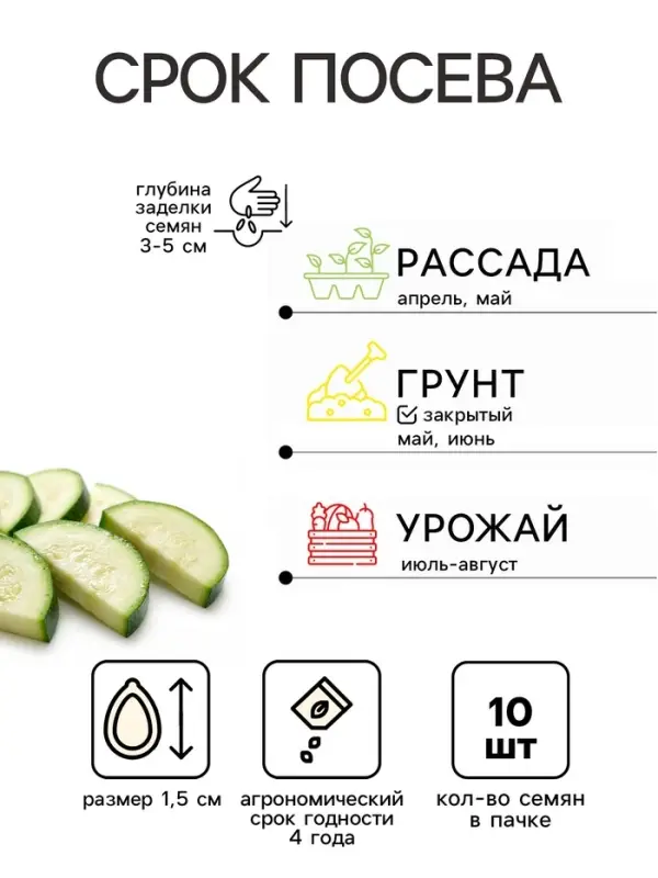 Семена Кабачок &laquo;Ананасный&raquo;, 10 шт., &laquo;Уральский Дачник&raquo;