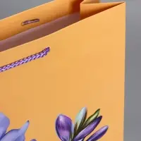 Пакет подарочный "Тонка эстетика" ламинированный, 33 х 42,5 х 10 см