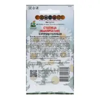 Набор семян Статица "Суприм голубая", 5 шт. Набор семян Статица "Суприм голубая", 5 шт.