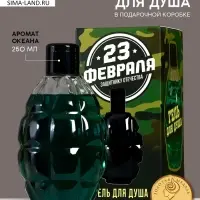 Гель для душа мужской &laquo;С 23 Февраля!&raquo;, 250 мл, аромат океана, HARD LINE