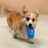 VETTA Игрушка для домашних животных, ТПР, 15х7 см