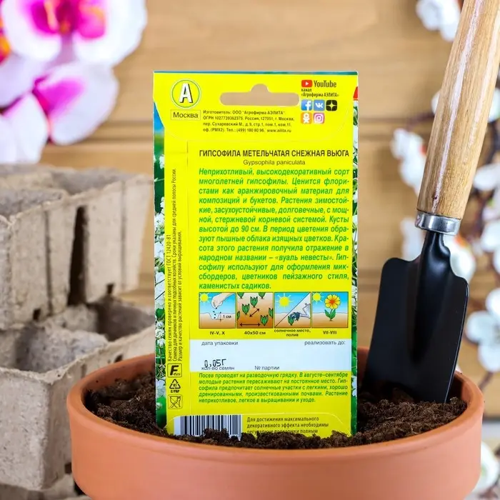 Семена цветов Гипсофила  Семена цветов Гипсофила "Снежная вьюга", 0,05 г