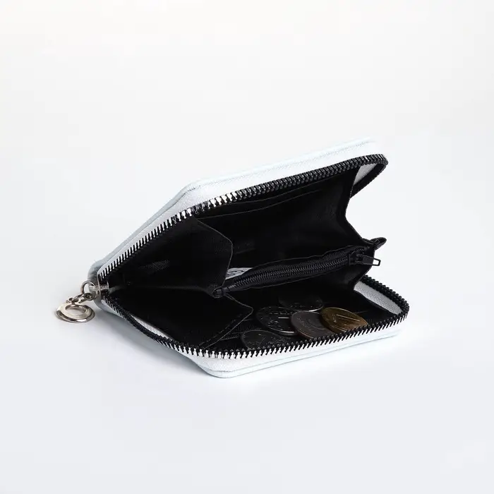 Кошелёк на молнии, отдел для карт, для монет, светло-голубой