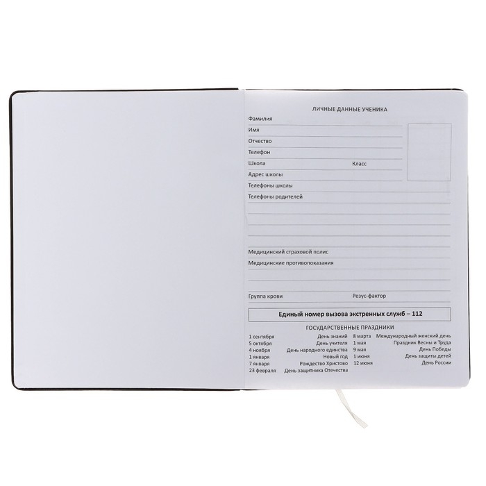 Дневник универсальный для 1-11 класса Break Rules, твёрдая обложка, искусственная кожа, с поролоном, ляссе, 80 г/м2