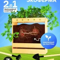 Набор для опытов &laquo;Твоя экоферма&raquo;, 2 в 1