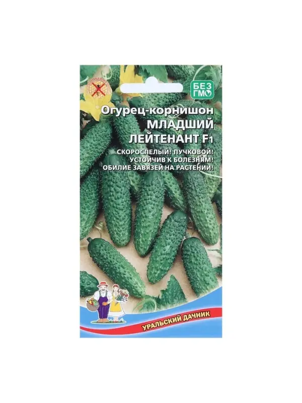 Семена Огурец Младший лейтенант F1 корнишон 10 шт. Семена Огурец Младший лейтенант F1 корнишон 10 шт.