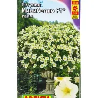 Семена цветов Петуния мини Минибелло F1 лайм многоцветковая (драже) С. Farao, Ц/П,5 шт. Семена цветов Петуния мини Минибелло F1 лайм многоцветковая (драже) С. Farao, Ц/П,5 шт.