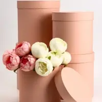 Набор круглых коробок 5 в 1 &laquo;Краски&raquo;, персиковый, 25&times;25&times;25 - 19&times;19&times;19 см