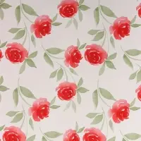 Пленка для цветов, "Цветы", красная, 57х57 см