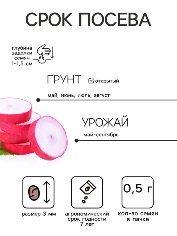 Семена Редис Рудольф 0,5 г.