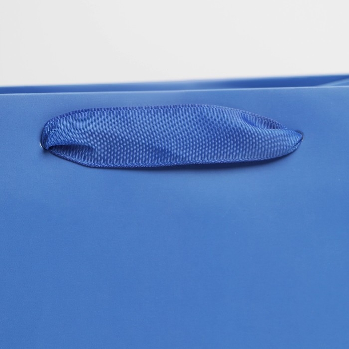 Пакет подарочный ламинированный, упаковка, «Синий», MS 18 х 23 х 10 см