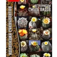 Семена цветов Астрофитум &laquo;Смесь Видов&raquo;, 5 шт., &laquo;Григорьев&raquo;