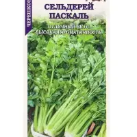 Семена Сельдерей черешковый Паскаль /Сотка/ 0,5г/ холодоуст./*1200