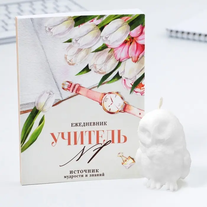 Набор: ежедневник А6, 120 листов и фигурная свеча «Учителю, который вдохновляет» Набор: ежедневник А6, 120 листов и фигурная свеча «Учителю, который вдохновляет»