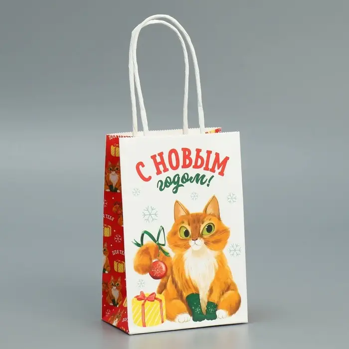 Пакет подарочный новогодний крафтовый «С Новым годом», 15 х 10 х 6 см Пакет подарочный новогодний крафтовый «С Новым годом», 15 х 10 х 6 см