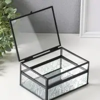 Шкатулка стекло с металлическим каркасом "Проталины" прозрачная 11,5х15х7,3 см