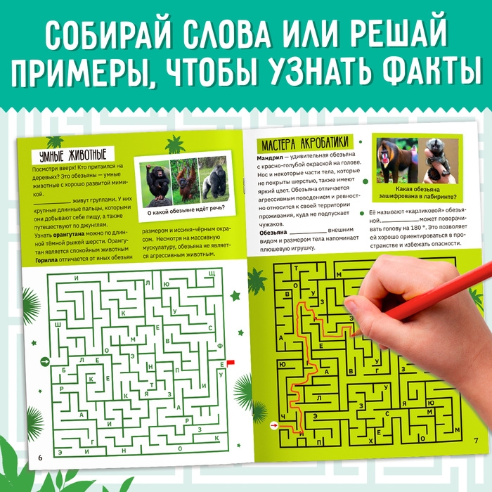 Набор обучающих книг «Лабиринты и факты», 6 шт. Набор обучающих книг «Лабиринты и факты», 6 шт.
