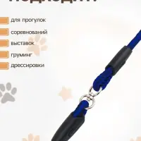 Ринговка для собак, 150&times;0.6 см, с вертлюгом, синяя, чёрная