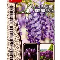 Семена цветов Глициния Китайская 3шт.  12.29 г.