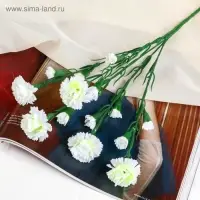 Цветы искусственные &laquo;Гвоздика кустовая&raquo;, h=60 см, белые
