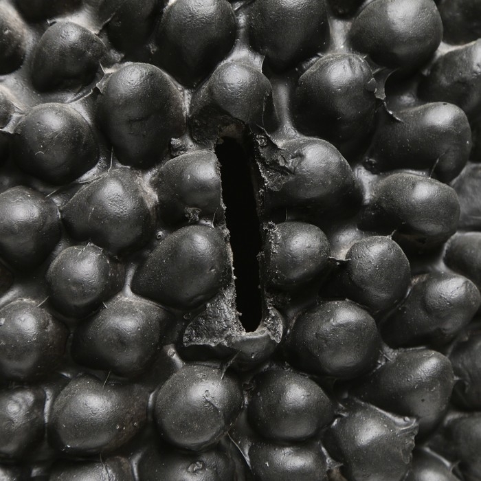 Копилка Копилка "Ежик большой с грибом" 23х18х33см