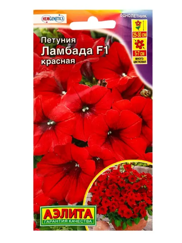 Семена цветов Петуния Ламбада F1 красная многоцветковая (драже) С. Hem Genetics, Ц/П,7 шт. Семена цветов Петуния Ламбада F1 красная многоцветковая (драже) С. Hem Genetics, Ц/П,7 шт.