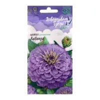 Семена цветов Цинния Лаванда "Лавандовые грёзы", ц/п, 0,5 г Семена цветов Цинния Лаванда "Лавандовые грёзы", ц/п, 0,5 г
