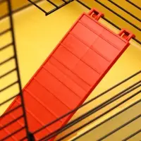 Клетка для грызунов "Мини" одноярусная, 29 x 25 х 24 см, желтый Клетка для грызунов "Мини" одноярусная, 29 x 25 х 24 см, желтый