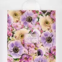 Пакет подарочный &laquo;Адель&raquo;, полиэтиленовый с петлевой ручкой, 38&times;42 см, 40 мкм