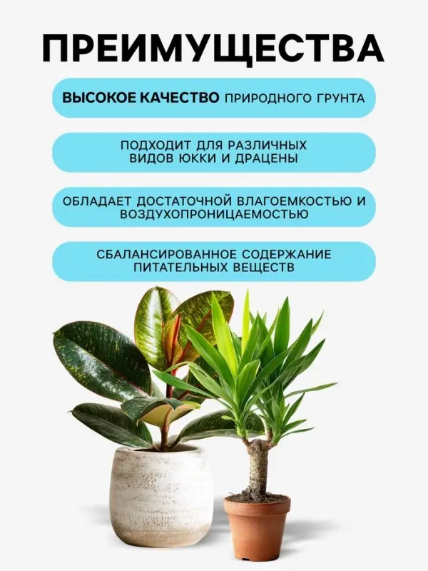 Грунт для всех видов декоративно-лиственных &laquo;Рецепты Дедушки Никиты&raquo;, 5 л