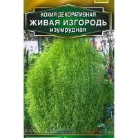 Семена цветов Кохия Живая изгородь изумрудная Золотая серия, Ц/П,0,1 г Семена цветов Кохия Живая изгородь изумрудная Золотая серия, Ц/П,0,1 г